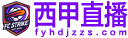 西甲直播
